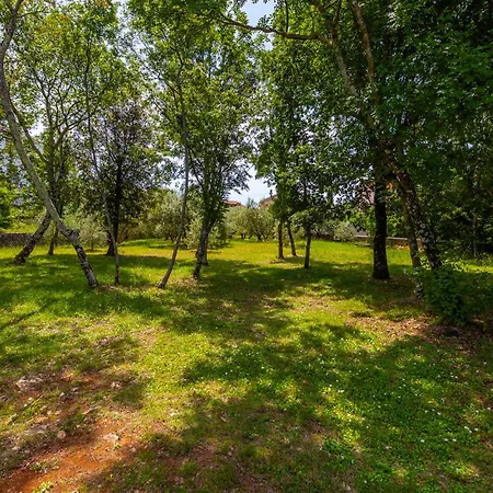 1 Bedroom In Apartment