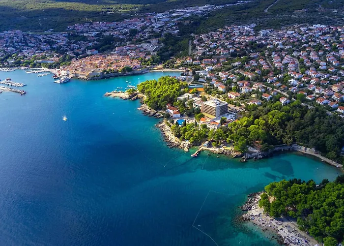 Apartament 1 Bedroom In *