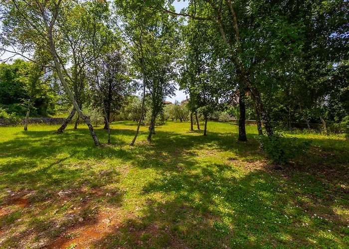 1 Bedroom In Apartament