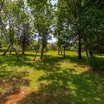 1 Bedroom Amazing In Appartement